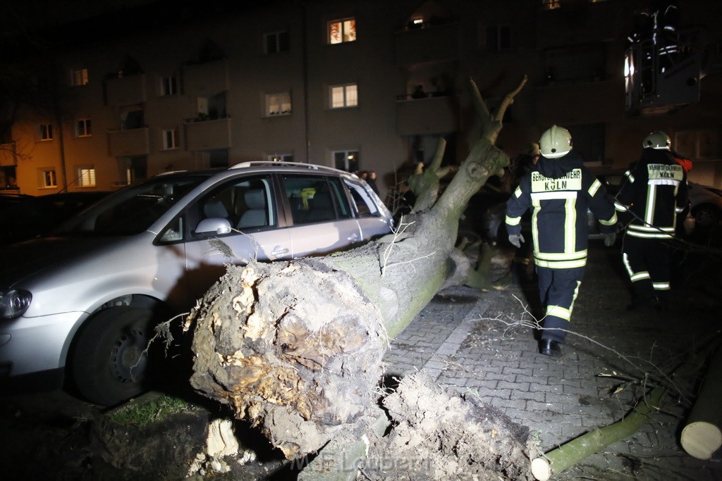 Sturm Baum auf PKW s Koeln Mauenheim A Gruenen Hof P05.JPG